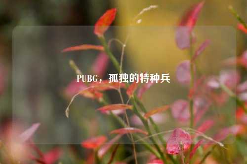 PUBG，孤独的特种兵