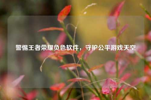 警惕王者荣耀负色软件，守护公平游戏天空
