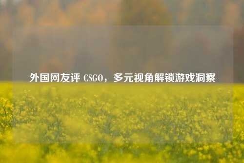 外国网友评 CSGO，多元视角解锁游戏洞察
