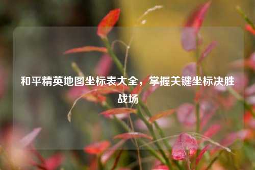 和平精英地图坐标表大全，掌握关键坐标决胜战场