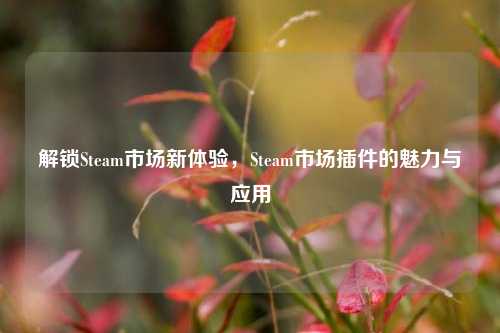 解锁Steam市场新体验，Steam市场插件的魅力与应用