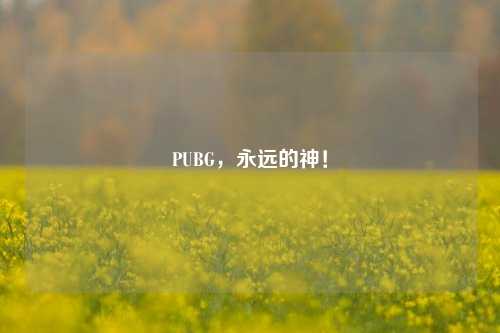 PUBG，永远的神！