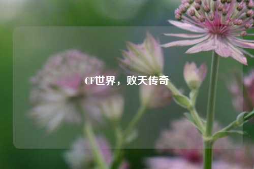 CF世界，败天传奇