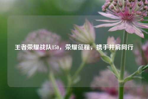 王者荣耀战队150，荣耀征程，携手并肩同行