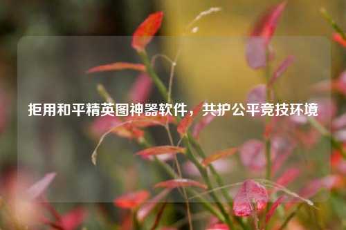 拒用和平精英图神器软件，共护公平竞技环境