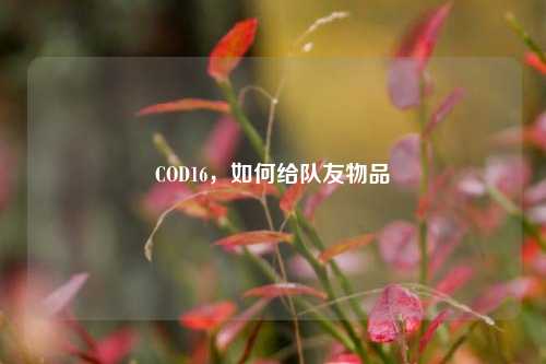 COD16，如何给队友物品