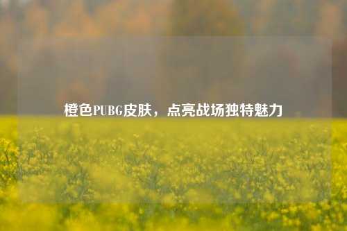 橙色PUBG皮肤，点亮战场独特魅力