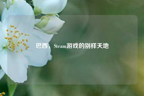 巴西，Steam游戏的别样天地