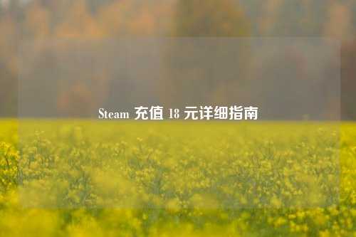 Steam 充值 18 元详细指南