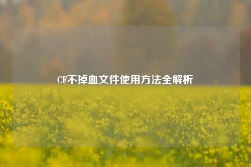 CF不掉血文件使用方法全解析