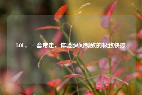 LOL，一套带走，体验瞬间制敌的极致快感
