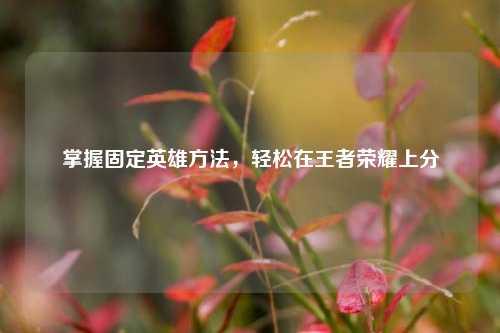 掌握固定英雄方法，轻松在王者荣耀上分