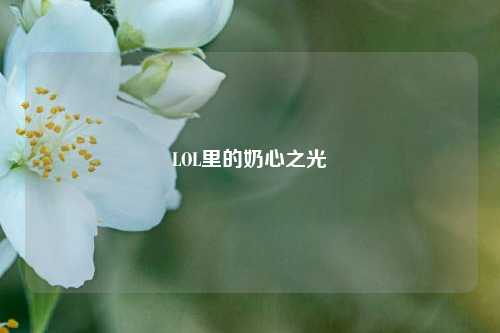 LOL里的奶心之光