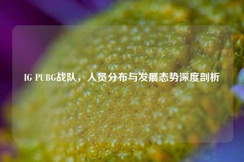 IG PUBG战队，人员分布与发展态势深度剖析