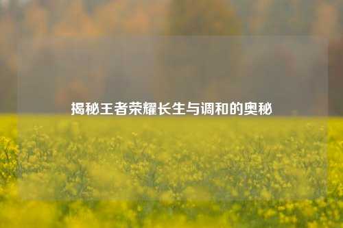 揭秘王者荣耀长生与调和的奥秘