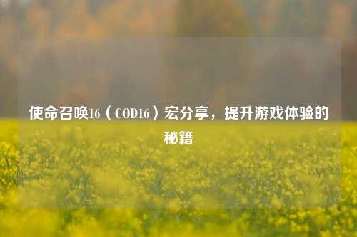 使命召唤16（COD16）宏分享，提升游戏体验的秘籍