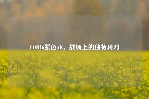 COD16紫色AK，战场上的独特利刃