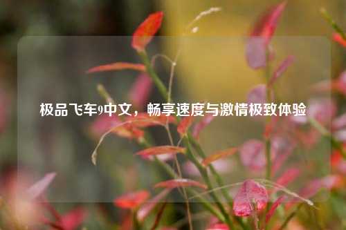 极品飞车9中文，畅享速度与激情极致体验