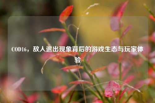 COD16，敌人退出现象背后的游戏生态与玩家体验