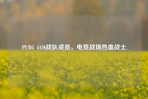 PUBG 4AM战队成员，电竞战场热血战士