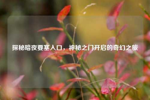 探秘暗夜要塞入口，神秘之门开启的奇幻之旅