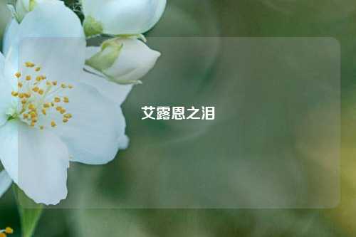 艾露恩之泪