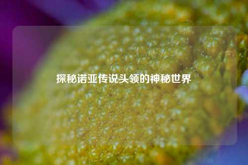 探秘诺亚传说头领的神秘世界