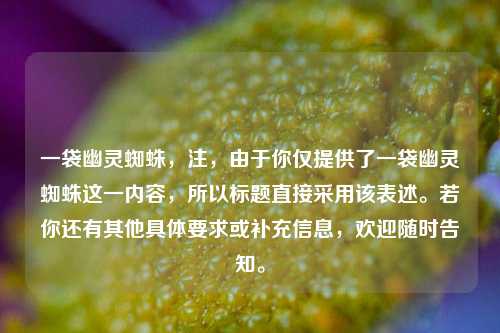 一袋幽灵蜘蛛，注，由于你仅提供了一袋幽灵蜘蛛这一内容，所以标题直接采用该表述。若你还有其他具体要求或补充信息，欢迎随时告知。
