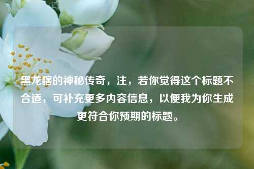黑龙瞎的神秘传奇，注，若你觉得这个标题不合适，可补充更多内容信息，以便我为你生成更符合你预期的标题。