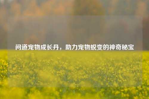 问道宠物成长丹，助力宠物蜕变的神奇秘宝