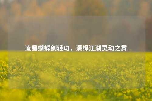流星蝴蝶剑轻功，演绎江湖灵动之舞