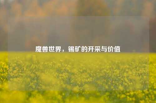 魔兽世界，锡矿的开采与价值