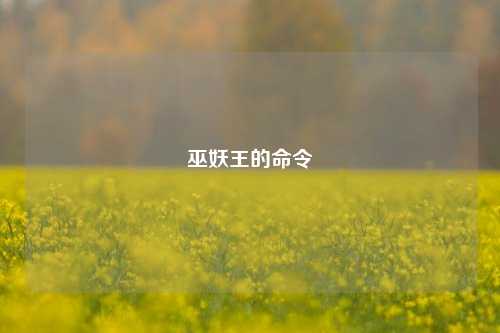 巫妖王的命令