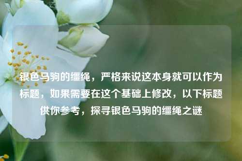 银色马驹的缰绳，严格来说这本身就可以作为标题，如果需要在这个基础上修改，以下标题供你参考，探寻银色马驹的缰绳之谜