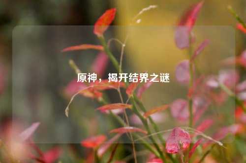 原神，揭开结界之谜