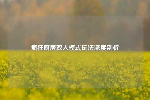 疯狂厨房双人模式玩法深度剖析