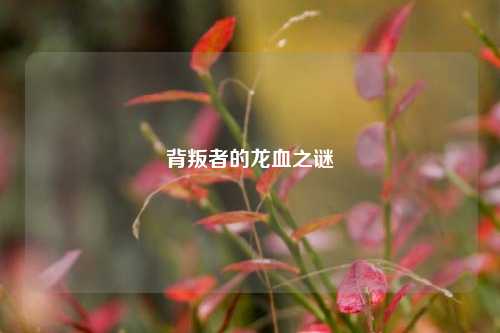 背叛者的龙血之谜