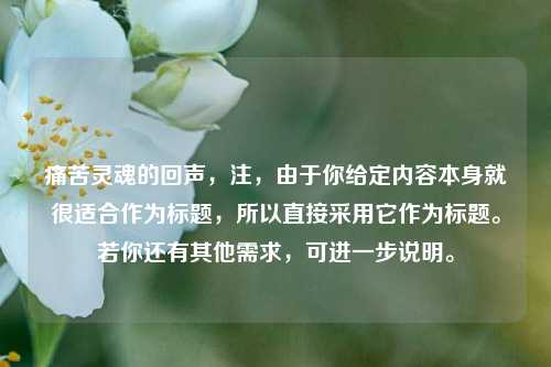 痛苦灵魂的回声，注，由于你给定内容本身就很适合作为标题，所以直接采用它作为标题。若你还有其他需求，可进一步说明。