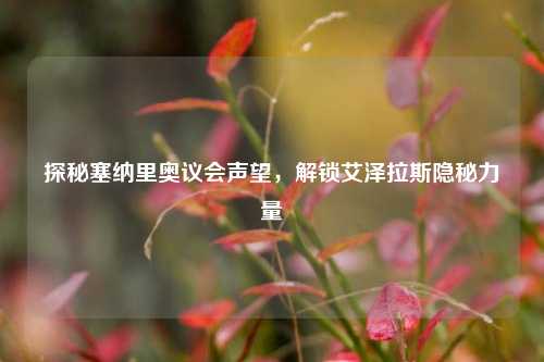 探秘塞纳里奥议会声望，解锁艾泽拉斯隐秘力量