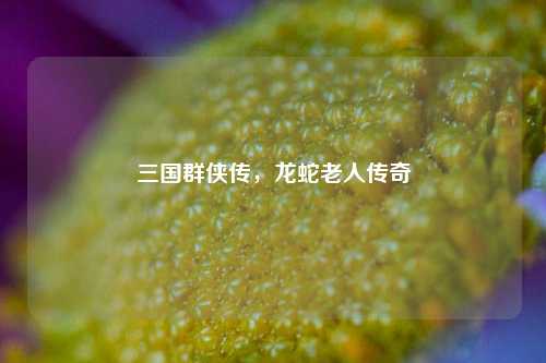三国群侠传，龙蛇老人传奇