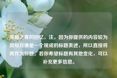 黑檀之寒的回忆，注，因为你提供的内容较为简短且像是一个现成的标题表述，所以直接将其作为标题。若你希望标题有其他变化，可以补充更多信息。