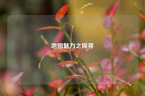 地图魅力之探寻
