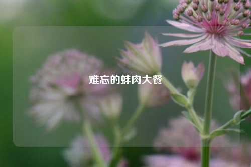 难忘的蚌肉大餐