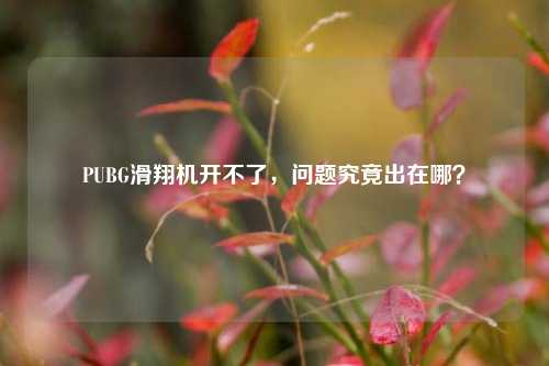 PUBG滑翔机开不了，问题究竟出在哪？