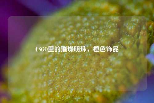 CSGO里的璀璨明珠，橙色饰品