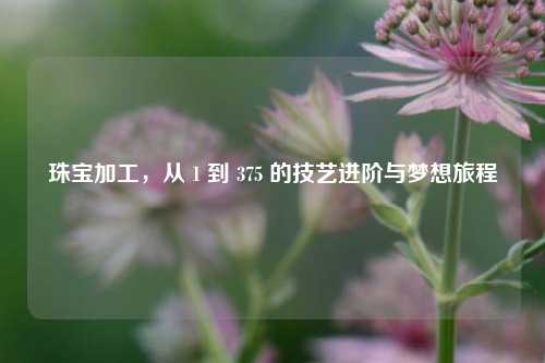 珠宝加工，从 1 到 375 的技艺进阶与梦想旅程