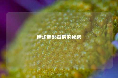暗炉钥匙背后的秘密
