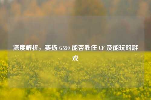 深度解析，赛扬 G550 能否胜任 CF 及能玩的游戏