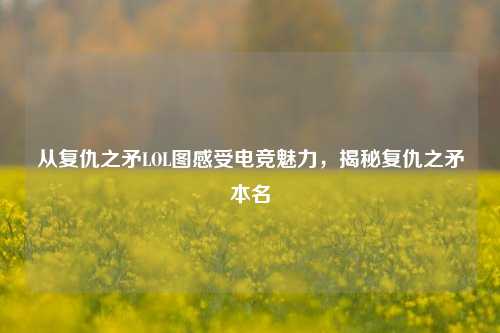 从复仇之矛LOL图感受电竞魅力，揭秘复仇之矛本名