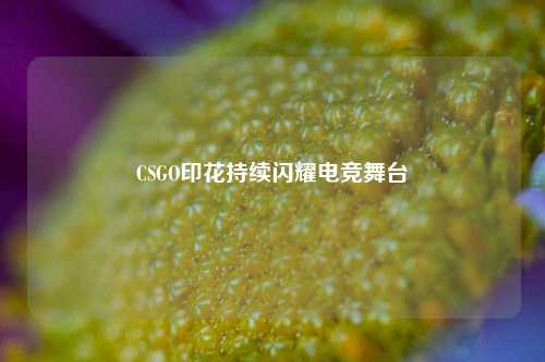 CSGO印花持续闪耀电竞舞台
